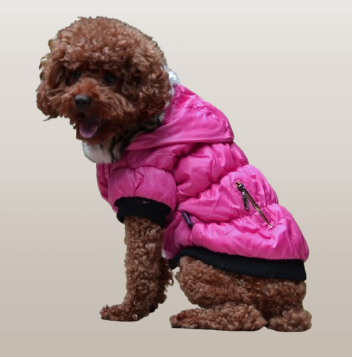 PETS&CLEAN Zippered Cotton Padded Clothes For Pets