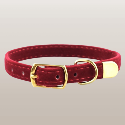 PETS&CLEAN standard Pet collar