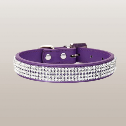 PETS&CLEAN Water drill pet collar