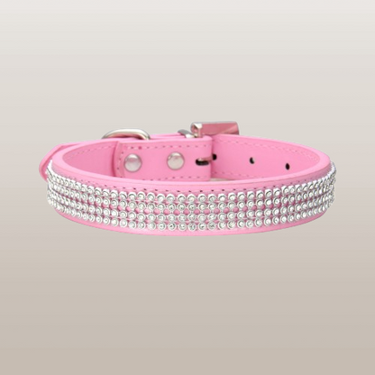 PETS&CLEAN Water drill pet collar