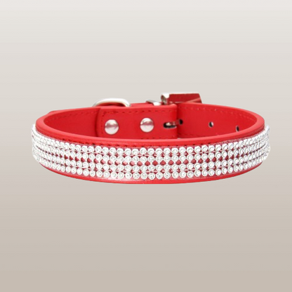 PETS&CLEAN Water drill pet collar