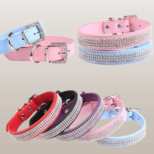 PETS&CLEAN Water drill pet collar