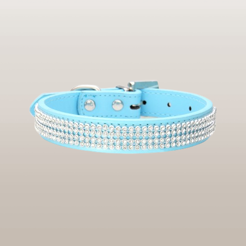 PETS&CLEAN Water drill pet collar