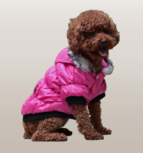 PETS&CLEAN Zippered Cotton Padded Clothes For Pets